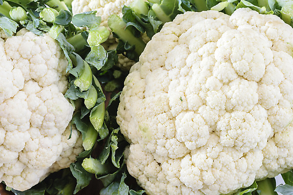 포토 JPG 해외이미지 식물 음식 농업 채소 재료 건강 사람없음 초록색 머리 흰색 신선 유기농 날것 채식주의자 비건 해외202004 해외포토 웰빙 산업 컬러 신체부위 채식 파일형식 이미지허브