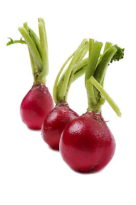 포토 JPG 해외이미지 식물 음식 잎 농업 다이어트 채소 재료 자연 건강 요리 사람없음 빨간색 초록색 흰색 신선 맛 작음 유기농 날것 뿌리 내추럴 채식주의자 총각무 해외202004 해외포토 웰빙 산업 컬러 컨셉 크기 무 생태계 채식 파일형식 이미지허브