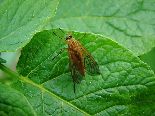 포토 JPG 해외이미지 동물 문화 곤충 잎 밭 날개 채소 사람없음 초록색 농작물 농장 노란색 정원 검은색 줄무늬 손상 시골 원주민 선택 해충 먹기 준비 원예 장면 욕심 해외202004 해외포토 식물 컬러 컨셉 무늬 농업 모션 취미 아프리카인 벌레 파일형식 이미지허브