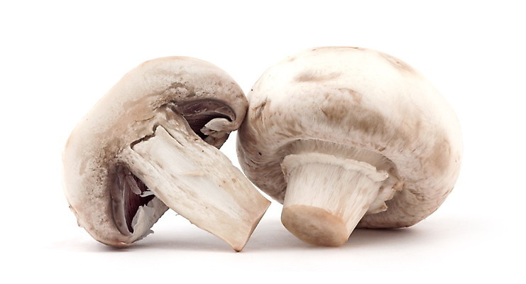 포토 JPG 해외이미지 음식 백그라운드 채소 재료 사람없음 반사 버섯 흰색 신선 수집 먹기 오브젝트 유기농 고립 숙성 식용 채식주의자 해외202004 해외포토 웰빙 컬러 모션 채식 파일형식 이미지허브