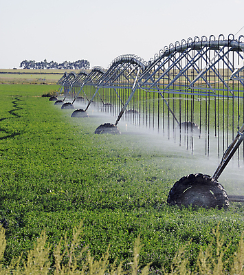 포토 JPG 해외이미지 산업 밭 농업 하늘 사람없음 야외 초록색 물 스프레이 해외202004 해외포토 자연요소 컬러 파일형식 이미지허브