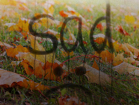 포토 JPG 해외이미지 계절 감정 백그라운드 패턴 텍스트 창문 유리 날씨 추상 사람없음 물 파란색 단어 빛 젖음 추위 슬픔 가을 물방울 죽음 떨어짐 9월 심볼 사인 고민 질감 뿌연 우울증 혼자 레터링 해외202004 해외포토 자연요소 문자 컬러 컨셉 무늬 재질 날짜 질병 파일형식 이미지허브