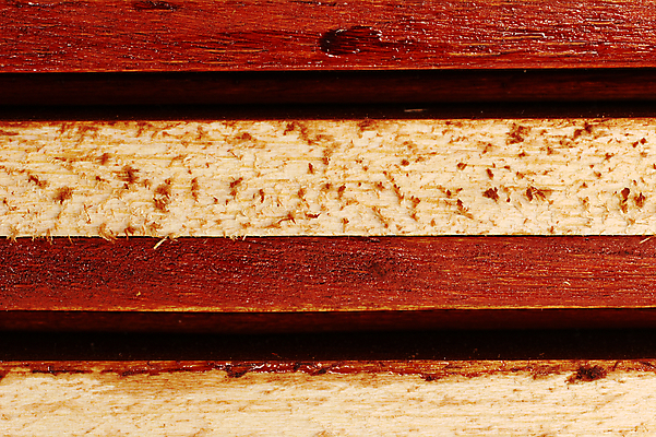 포토 JPG 해외이미지 패턴 표면 선반 쟁반 사람없음 목재 가로 빛 어둠 페인트 널 판 내추럴 평행 니스 수목 해외202004 해외포토 나무 가구 무늬 재료 파일형식 이미지허브