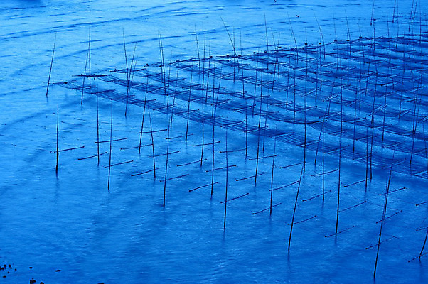 포토 JPG 해외이미지 계절 문화 파도 바다 여행 농업 곡선 자연 아침 풍경 사람없음 물 여름 파란색 농장 중국 새벽 만 해조류 장면 밭일 해외202004 해외포토 주간 자연요소 산업 아시아 선 컬러 해양식물 생태계 파일형식 이미지허브