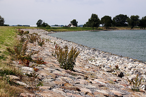 포토 JPG 해외이미지 사람없음 초록색 물 바위 각도 유지 해외202004 해외포토 자연요소 컬러 돌_바위 파일형식 이미지허브