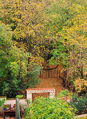 포토 JPG 해외이미지 나무 계절 사람없음 가을 해외202004 해외포토 식물 파일형식 이미지허브