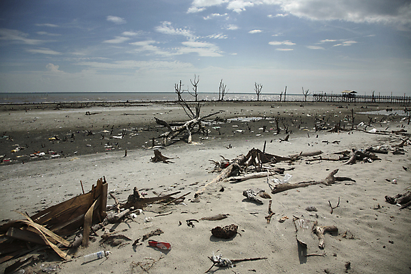 포토 JPG 해외이미지 모래 바다 자연 사람없음 물 환경 나뭇가지 쓰레기 플라스틱 거절 폐수 해외202004 해외포토 자연요소 나무 컨셉 재질 환경오염 생태계 파일형식 이미지허브