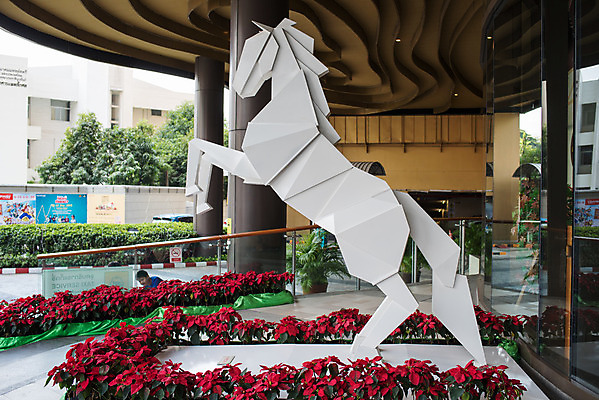 포토 JPG 해외이미지 동물 디자인 꽃 백그라운드 일러스트 포유류 자연 추상 미술 사람없음 장식 빨간색 쇼핑 흰색 쇼핑몰 심볼 갈기 해외202004 해외포토 식물 컬러 무늬 문화예술 생태계 파일형식 이미지허브