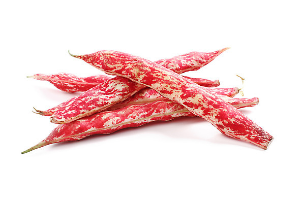 포토 JPG 해외이미지 식물 음식 백그라운드 농업 채소 재료 자연 콩 건강 씨앗 사람없음 가로 빨간색 쌓기 껍질 흰색 신선 그룹 먹기 유기농 질감 날것 흙더미 내추럴 고립 꼬투리 단백질 생식 숙성 채식주의자 해외202004 해외포토 웰빙 산업 컬러 모션 곡류 흙 생태계 채식 영양소 파일형식 더미 이미지허브