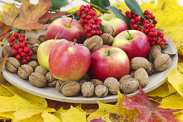 포토 JPG 해외이미지 나무 식물 접시 계절 음식 꽃다발 백그라운드 단풍 잎 패턴 오렌지 과일 자연 사람없음 장식 빨간색 빛 컬러풀 노란색 환경 맑음 활발 견과류 수확 가을 흰색 신선 황금 사과 9월 11월 배열 질감 호두 10월 고립 해외202004 해외포토 식기 꽃 컬러 컨셉 무늬 농업 날씨 날짜 생태계 파일형식 이미지허브