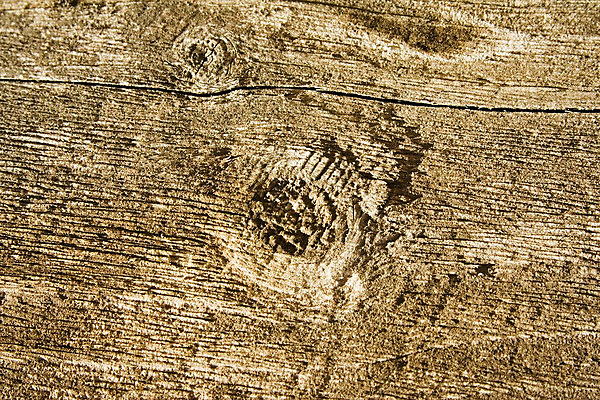 포토 JPG 해외이미지 선 백그라운드 패턴 자연 표면 추상 바닥 주택 사람없음 목재 갈색 얼룩 끝 닫기 선탠 널 낟알 목수 묘사 질감 매듭 목공예 잡동사니 내추럴 계약자 벌목 수목 해외202004 해외포토 나무 직업 컬러 무늬 재료 모션 건물 공예 계약 생태계 파일형식 이미지허브