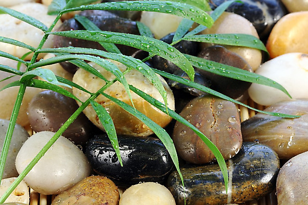 포토 JPG 해외이미지 종교 문화 선 자연 동양인 사람없음 평화 침묵 바위 신선 대나무 내추럴 신앙심 해외202004 해외포토 나무 컨셉 인종 소리 돌_바위 생태계 파일형식 이미지허브