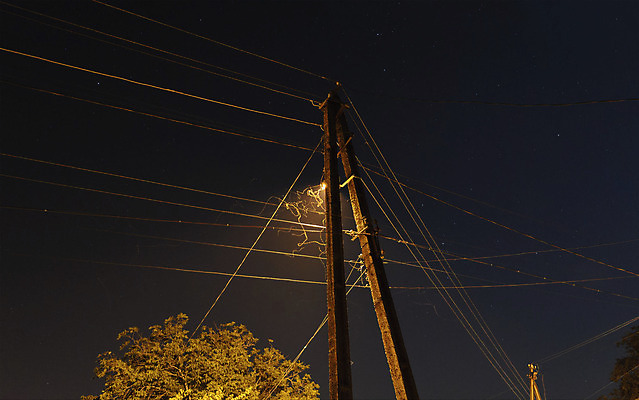 포토 JPG 해외이미지 나무 공원 실루엣 별 하늘 조명 풍경 사람없음 우주 검은색 어둠 침묵 새벽 야간 조경 장면 지역 교외 해외202004 해외포토 자연요소 식물 공공시설 컬러 촬영기법 소리 파일형식 이미지허브