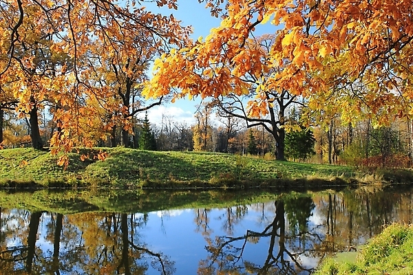 포토 JPG 해외이미지 나무 구름 호수 자연 하늘 사람없음 반사 가을 시트 해외202004 해외포토 자연요소 식물 계절 생태계 파일형식 이미지허브