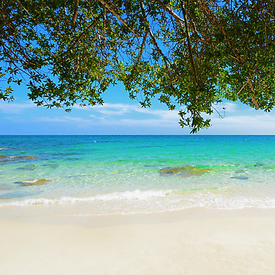 포토 JPG 해외이미지 나무 계절 모래 파도 바다 섬 여행 백그라운드 컨셉 잎 태국 자연 하늘 날씨 휴가 휴식 풍경 사람없음 야외 가로 초록색 물 여름 햇빛 태양 노란색 여행객 우주 맑음 침묵 바위 장면 내추럴 터키석 파라다이스 해외202004 해외포토 자연요소 식물 아시아 컬러 사람 소리 돌_바위 보석 생태계 파일형식 이미지허브