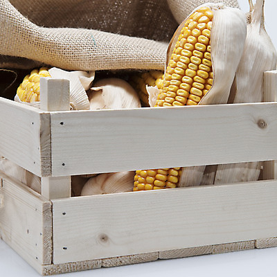 포토 JPG 해외이미지 음식 잎 농업 과일 콩 건조 옥수수 씨앗 사람없음 목재 농작물 상자 노란색 가축 수확 껍질 선택 낟알 나무상자 시리얼 흰배경 유기농 질감 알맹이 귀 팝콘 내추럴 고립 정물화 프리미엄 해외202004 해외포토 나무 식물 동물 웰빙 산업 컬러 백그라운드 컨셉 재료 곡류 신체부위 흰색 그림 파일형식 이미지허브