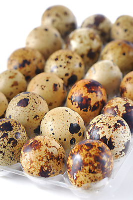 포토 JPG 해외이미지 동물 음식 다이어트 재료 자연 조류 부활절 건강 사람없음 상자 갈색 주방 계란 식사 껍질 흰색 신선 점 투명 그룹 둥지 상품 작음 컨테이너 플라스틱 배열 오브젝트 유기농 날것 내추럴 고립 단백질 메추리 옛날 해외202004 해외포토 웰빙 기념일 산업 컬러 재질 알 크기 생태계 영양소 파일형식 이미지허브