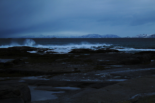 포토 JPG 해외이미지 식물 음식 파도 바다 여행 백그라운드 자연 표면 추상 새로움 노르웨이 사람없음 야외 초록색 물 파란색 반사 갈색 노란색 바위 해조류 닫기 묘사 질감 장면 태평양 서식지 남쪽 내추럴 수경재배 해외202004 해외포토 자연요소 유럽 컬러 컨셉 무늬 모션 돌_바위 해양식물 방향 생태계 파일형식 이미지허브