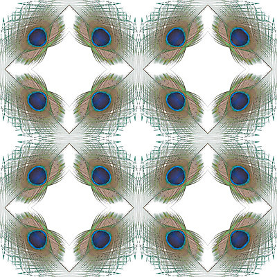 포토 JPG 해외이미지 동물 디자인 야생동물 백그라운드 패턴 자연 조류 추상 사람없음 초록색 파란색 컬러풀 흰색 우아함 공작 깃털 질감 꼬리 솜털 고립 이국적 해외202004 해외포토 컬러 컨셉 무늬 생태계 파일형식 이미지허브