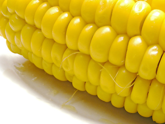 포토 JPG 해외이미지 식물 선 음식 백그라운드 패턴 농업 다이어트 채소 재료 자연 건강 옥수수 요리 사람없음 노란색 식사 저녁식사 활발 흰색 신선 황금 닫기 달콤 낟알 묘사 오브젝트 유기농 질감 알맹이 날것 귀 내추럴 고립 줄서기 해외202004 해외포토 웰빙 산업 컬러 컨셉 무늬 모션 곡류 신체부위 맛 생태계 파일형식 이미지허브