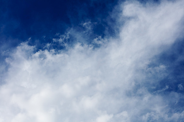 포토 JPG 해외이미지 나무 식물 구름 계절 밭 농업 자연 하늘 아침 날씨 풍경 잔디 사람없음 야외 초록색 여름 파란색 빛 햇빛 태양 농장 농경지 환경 맑음 놀람 봄 활발 흰색 시골 숲 땅 허브 언덕 장면 내추럴 평야 수평선 해외202004 해외포토 주간 자연요소 감정 산업 컬러 컨셉 표정 생태계 파일형식 이미지허브