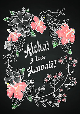 PSD 계절 꽃 백그라운드 일러스트 프레임 이벤트 사람없음 여름 칠판 하와이 초크일러스트 초크아트 레터링 국내일러스트 식물 미국 그림 파일형식