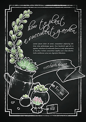 PSD 계절 화분 백그라운드 일러스트 프레임 이벤트 사람없음 칠판 초크일러스트 초크아트 다육식물 레터링 국내일러스트 식물 그림 파일형식
