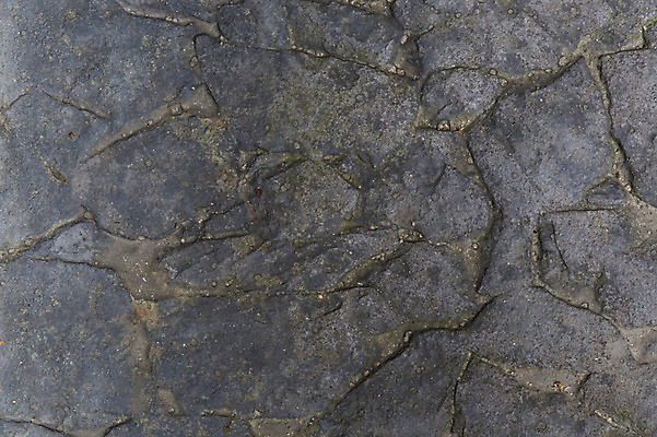 포토 JPG 백그라운드 근접촬영 사람없음 질감 스톤 돌재질 울퉁불퉁 국내포토 뷰포인트 재질 돌_바위 파일형식