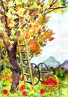 주간 PSD 나무 단풍 일러스트 사다리 산 풍경 사람없음 야외 바구니 수레 가을 사과 계절백그라운드 가을배경 국내일러스트 자연요소 식물 계절 백그라운드 잎 과일 카트 도구 파일형식 가을_계절