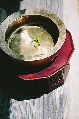 포토 JPG 주간 전통 한옥 전통소품 사람없음 야외 물 풀잎 교자상 세숫대야 국내포토 자연요소 식물 한국전통 고건축 잎 탁자 풀 오브젝트 파일형식