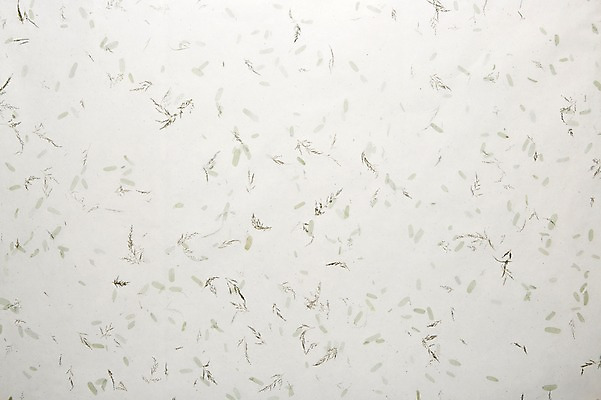 포토 JPG 스튜디오촬영 전통 백그라운드 전통소품 사람없음 한지 한지배경 국내포토 종이 실내 오브젝트 파일형식