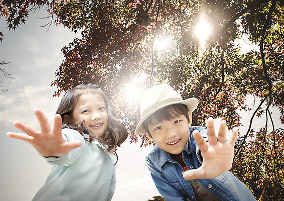 PSD 나무 편집 편집이미지 여자 남자 어린이 두명 햇빛 소풍 한국인 이미지편집 식물 사람 동양인 태양 야외활동 파일형식