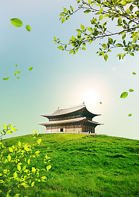 PSD 나무 편집 편집이미지 나뭇잎 잔디 사람없음 궁전 이미지편집 식물 고건축 잎 파일형식