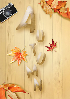 PSD 편집 편집이미지 백그라운드 단풍 낙엽 사람없음 카메라 가을 이미지편집 계절 잎 전자제품 파일형식