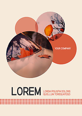 템플릿 표지 낙엽 사람없음 가을 원형 프레젠테이션 문서템플릿 서식 레이아웃 문서 제안서 이미지템플릿 AI파일 도형 계절 잎 파일형식 벡터
