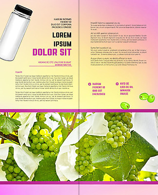 PSD 템플릿 표지디자인 북디자인 출판디자인 열매 내지 리플렛 잎 2단접지 북커버 팜플렛 사람없음 청포도 포도나무 텀블러 이미지템플릿 식물 포도 컵 과일나무 파일형식