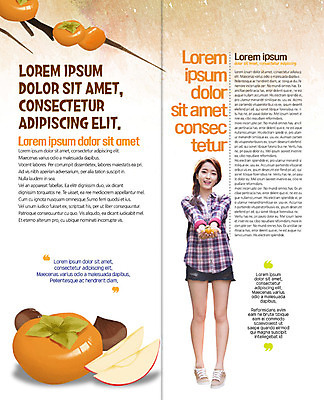 PSD 템플릿 표지디자인 북디자인 출판디자인 여자 내지 리플렛 2단접지 북커버 감 한명 팜플렛 20대 성인 한국인 가을 나뭇가지 밤 이미지템플릿 나무 1 계절 과일 사람 동양인 청년 견과류 파일형식