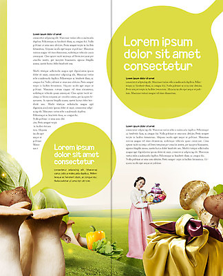 PSD 템플릿 표지디자인 북디자인 출판디자인 여자 내지 리플렛 2단접지 북커버 피망 한명 팜플렛 성인 30대 버섯 한국인 보자기 한복 이미지템플릿 1 한국전통 채소 사람 동양인 장년 전통의상 파일형식 천_직물