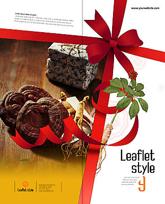 PSD 템플릿 표지디자인 북디자인 출판디자인 표지 리본 리플렛 2단접지 북커버 팜플렛 사람없음 버섯 한약재 인삼 약첩 영지버섯 인삼꽃 이미지템플릿 꽃 약재 삼 파일형식