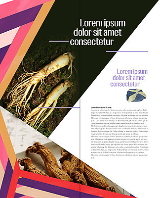 PSD 템플릿 표지디자인 북디자인 출판디자인 내지 리플렛 2단접지 북커버 팜플렛 사람없음 보자기 인삼 홍삼 이미지템플릿 삼 파일형식 천_직물