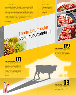 PSD 템플릿 표지디자인 북디자인 출판디자인 여자 내지 리플렛 2단접지 북커버 식재료 생고기 한명 팜플렛 성인 30대 한국인 소고기 밤송이 한복 한우 이미지템플릿 1 한국전통 육류 사람 동양인 장년 밤_견과류 전통의상 파일형식