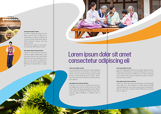 PSD 템플릿 표지디자인 북디자인 출판디자인 여자 명절 남자 내지 어린이 리플렛 북커버 3단접지 가족 대가족 앉기 팜플렛 여러명 성인 30대 한국인 가을 60대 밤 한복 평상 이미지템플릿 한국전통 전통 계절 기념일 노년 다수 관계 모션 사람 동양인 장년 견과류 전통의상 파일형식