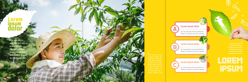 PSD 템플릿 표지디자인 북디자인 출판디자인 남자 내지 리플렛 북커버 3단접지 나뭇잎 한명 팜플렛 성인 옆모습 30대 농사 한국인 수확 사과 농부 유기농 밀짚모자 이미지템플릿 직업 모자_잡화 1 웰빙 뷰포인트 잎 농업 과일 사람 동양인 장년 파일형식