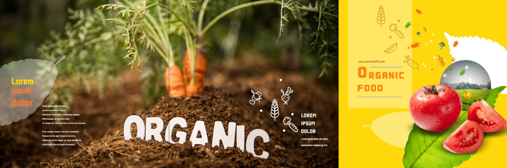 PSD 템플릿 표지디자인 북디자인 출판디자인 표지 리플렛 토마토 북커버 3단접지 나뭇잎 팜플렛 사람없음 농작물 흙 당근 유기농 이미지템플릿 웰빙 잎 농업 채소 뿌리채소 파일형식