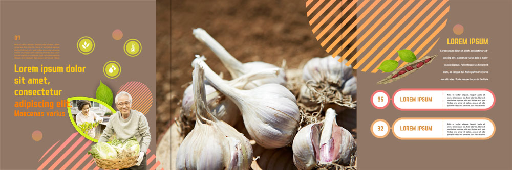 PSD 템플릿 표지디자인 북디자인 출판디자인 여자 남자 내지 리플렛 북커버 3단접지 콩 마늘 팜플렛 성인 두명 바구니 한국인 수확 60대 배추 유기농 이미지템플릿 웰빙 노년 농업 채소 곡류 사람 동양인 파일형식