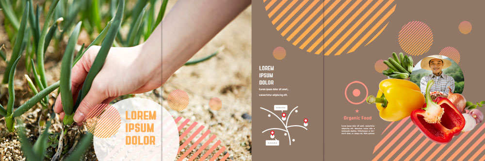 PSD 템플릿 표지디자인 북디자인 손 출판디자인 표지 남자 리플렛 북커버 3단접지 피망 한명 팜플렛 성인 신체부위 30대 한국인 수확 농부 유기농 파 이미지템플릿 직업 1 웰빙 농업 채소 사람 동양인 장년 파일형식