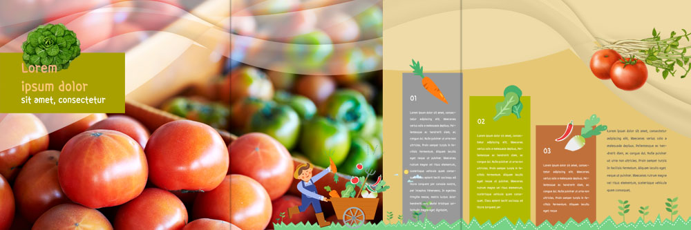 PSD 템플릿 표지디자인 북디자인 출판디자인 남자 내지 리플렛 토마토 북커버 3단접지 한명 팜플렛 수레 당근 수확 농부 무 유기농 이미지템플릿 직업 1 웰빙 농업 채소 뿌리채소 사람 카트 파일형식