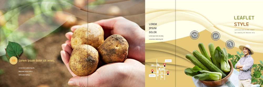PSD 템플릿 표지디자인 북디자인 손 출판디자인 표지 남자 리플렛 북커버 3단접지 오이 감자 한명 팜플렛 성인 신체부위 30대 팔짱 한국인 수확 농부 유기농 밀짚모자 청경채 약도 이미지템플릿 직업 모자_잡화 1 웰빙 지도 농업 채소 모션 사람 동양인 장년 파일형식