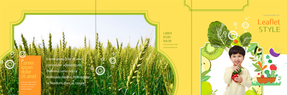 PSD 템플릿 표지디자인 북디자인 출판디자인 표지 남자 어린이 리플렛 채소 북커버 3단접지 키위 한명 소년 팜플렛 한국인 유기농 이삭 이미지템플릿 1 웰빙 과일 사람 동양인 파일형식
