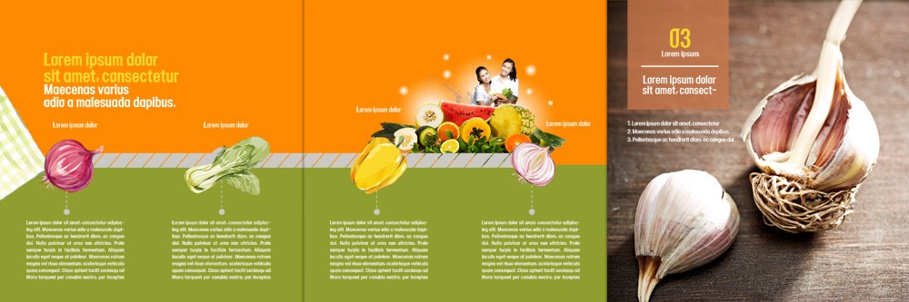 PSD 외국인 템플릿 표지디자인 북디자인 출판디자인 여자 내지 리플렛 북커버 3단접지 양파 피망 수박 마늘 동양인 팜플렛 20대 성인 두명 유기농 청경채 이미지템플릿 웰빙 채소 과일 사람 인종 청년 파일형식